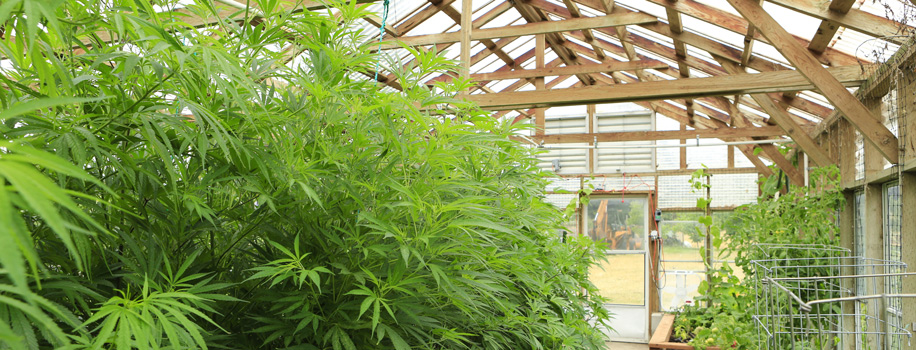 Security Solutions for Apartments in McConnelsville, OH